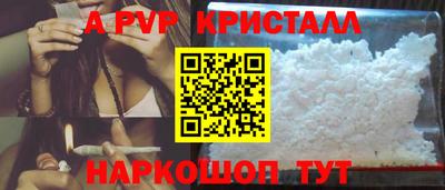 спайс Малгобек