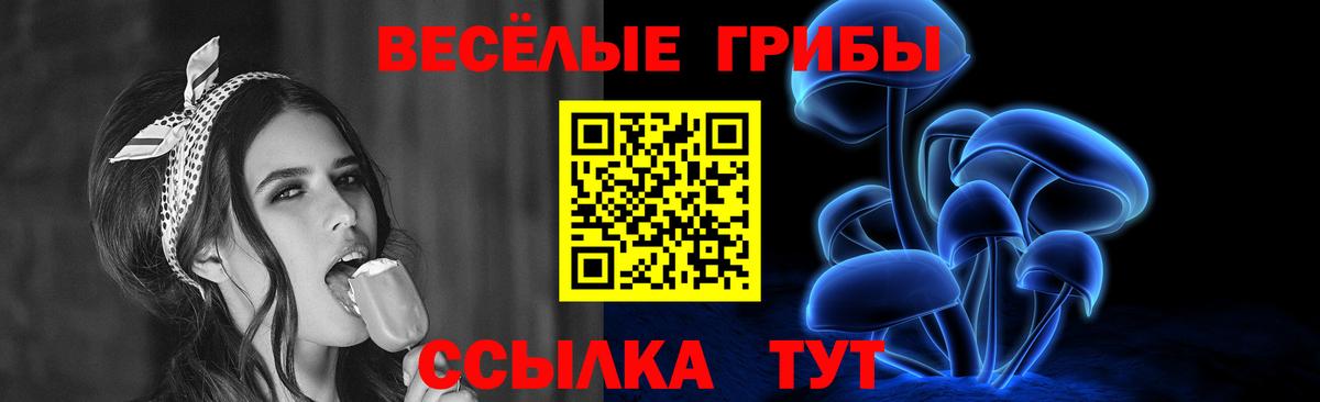 где купить наркоту  Вход с VPN  Славгород  Галлюциногенные грибы прущие грибы 